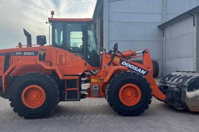 OmecoHub - Immagine DOOSAN DL250-3